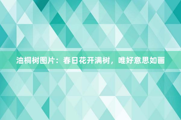 油桐树图片：春日花开满树，唯好意思如画